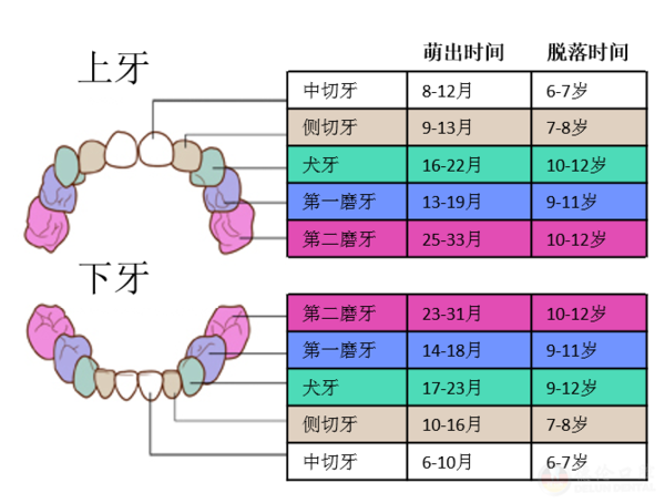 儿童换牙期是一个很重要的事情,换牙期可能会出现乳牙过早脱落